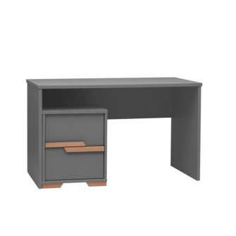 Writing Desk (Woodsy Collection)